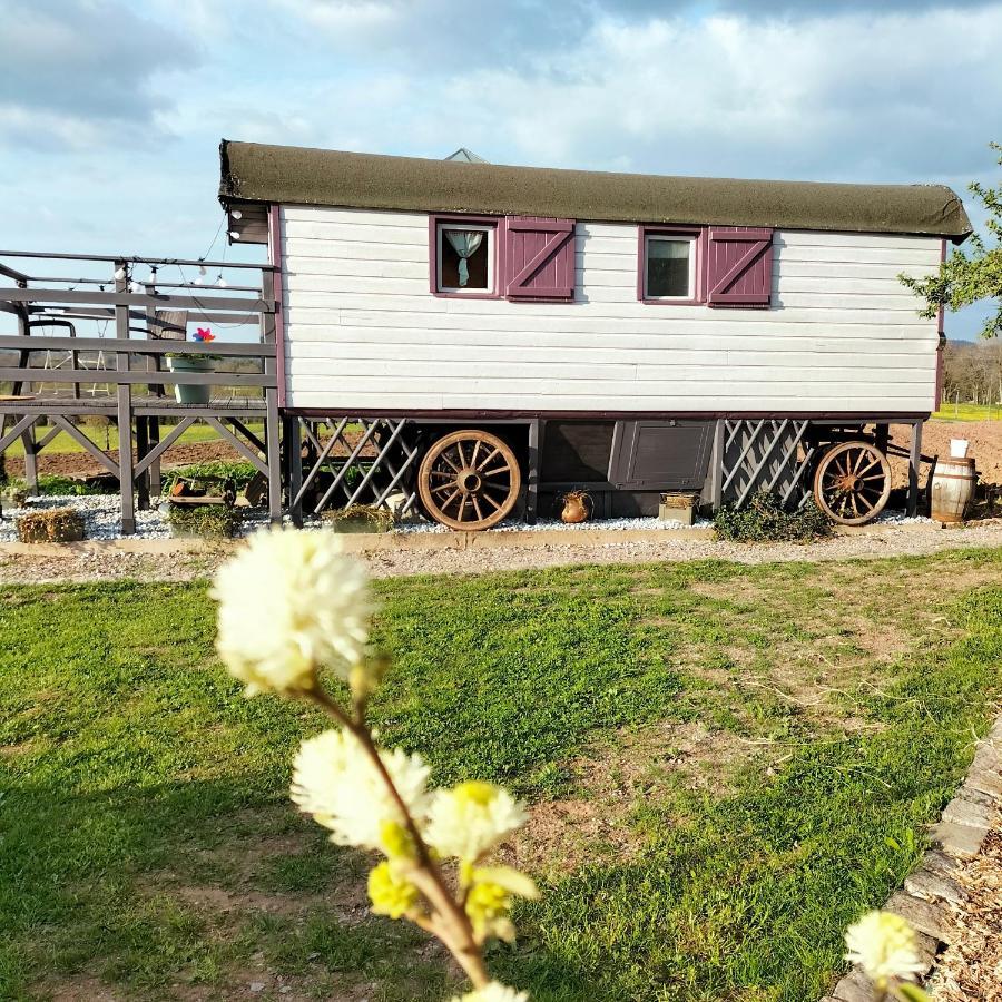 La Roulotte Belle Fleur Hotel Saint-Nabord Екстериор снимка